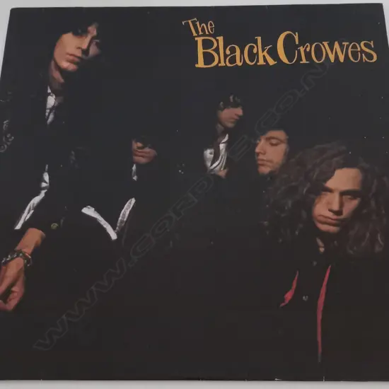 The Black Crowes, Shake Your Money Maker